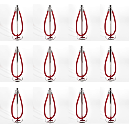 Chrome Stanchion and Velvet Ropes